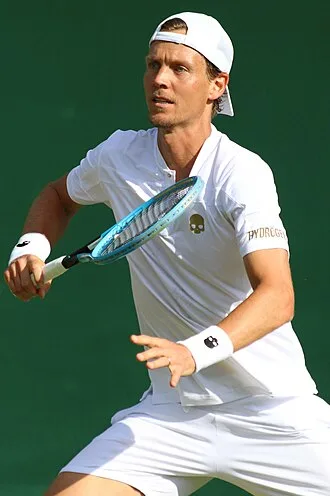 Tomas Berdych - ATP tennis player